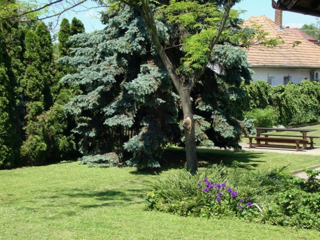 Apartamento Gyöngyvirág Vendégház Balatonboglár Exterior foto